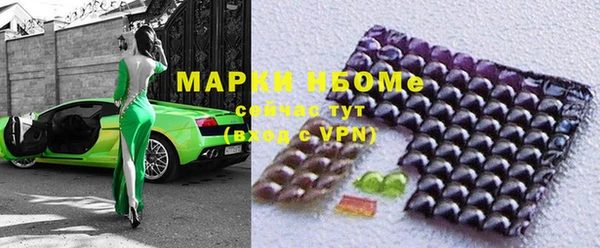 шишки Белокуриха